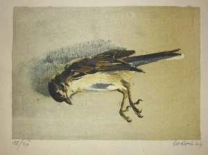 Vrabec Signováno Jiří Corvin 1964