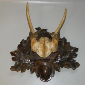 Srnčí trofej