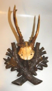 Srnčí trofej