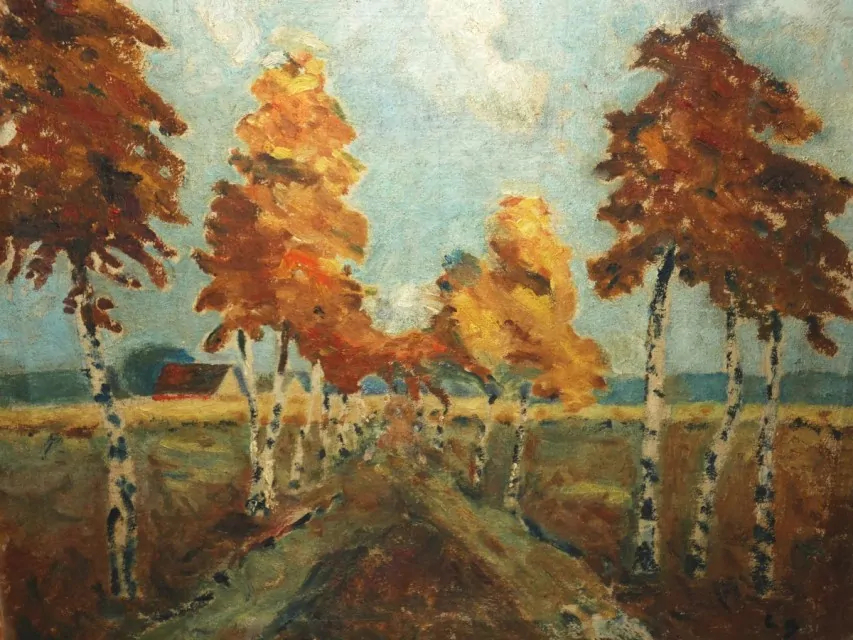 Obraz krajina břízy
