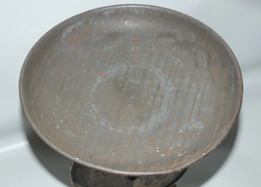 Váha SALTERS FAMILY SCALE
