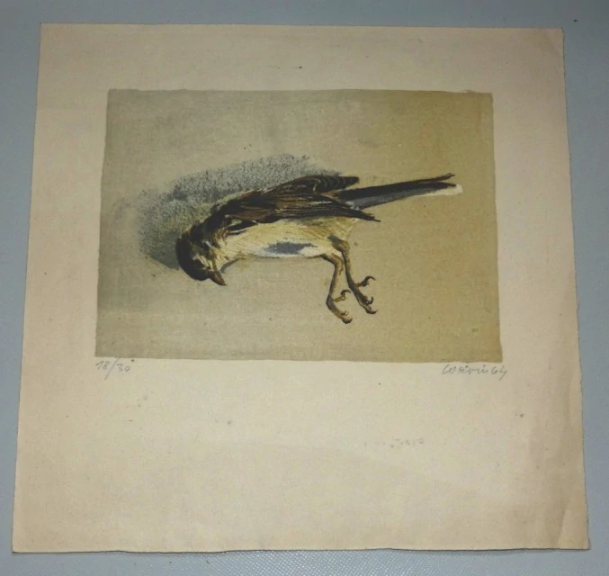 Vrabec Signováno Jiří Corvin 1964 