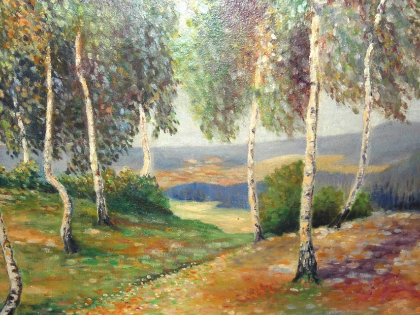 Obraz krajina