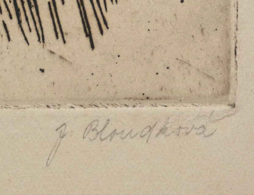 Portrét signováno J.Bloudková