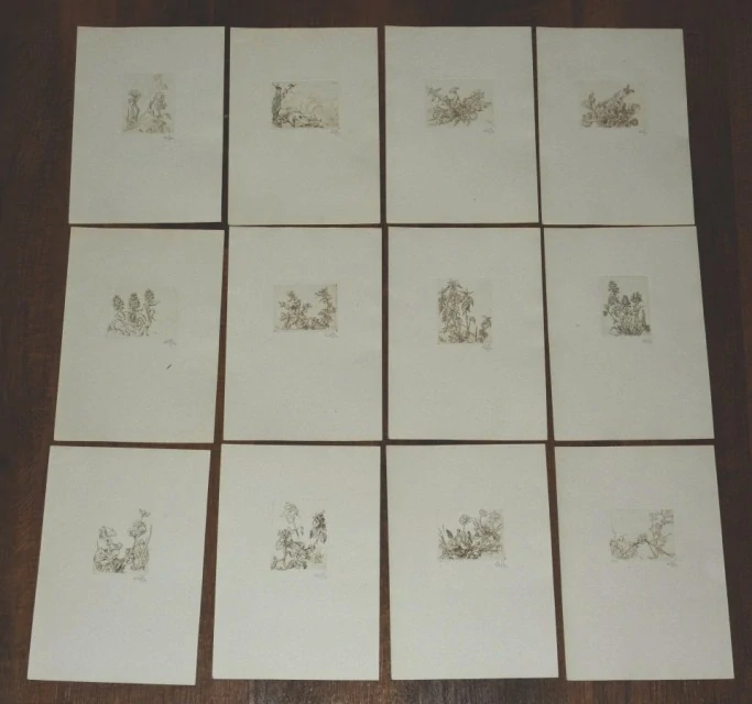 Jaro v trávě 12 studii leptem Jaroslav Vodrážka  1948