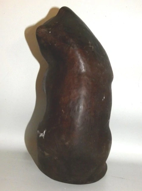 Medvěd 