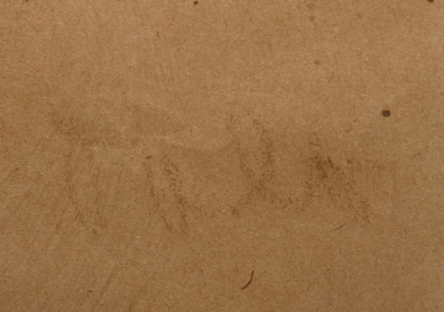 Obraz dívky signováno Oplt.