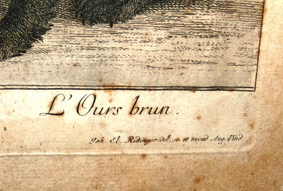 Obraz lovecká romantika sig.Johan Elias Ridinger 1698 - 1767