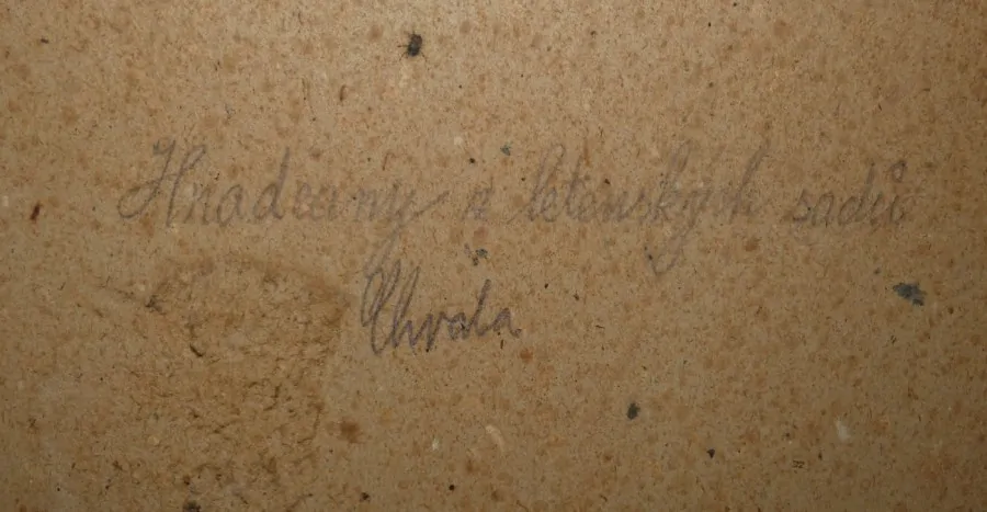 Obraz Praha Hradčany s letenských sadů
