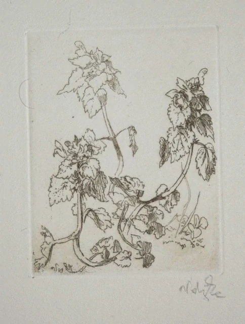 Jaro v trávě 12 studii leptem Jaroslav Vodrážka  1948