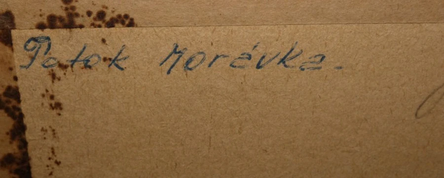 Obraz potok Morávka sig.Hajduček